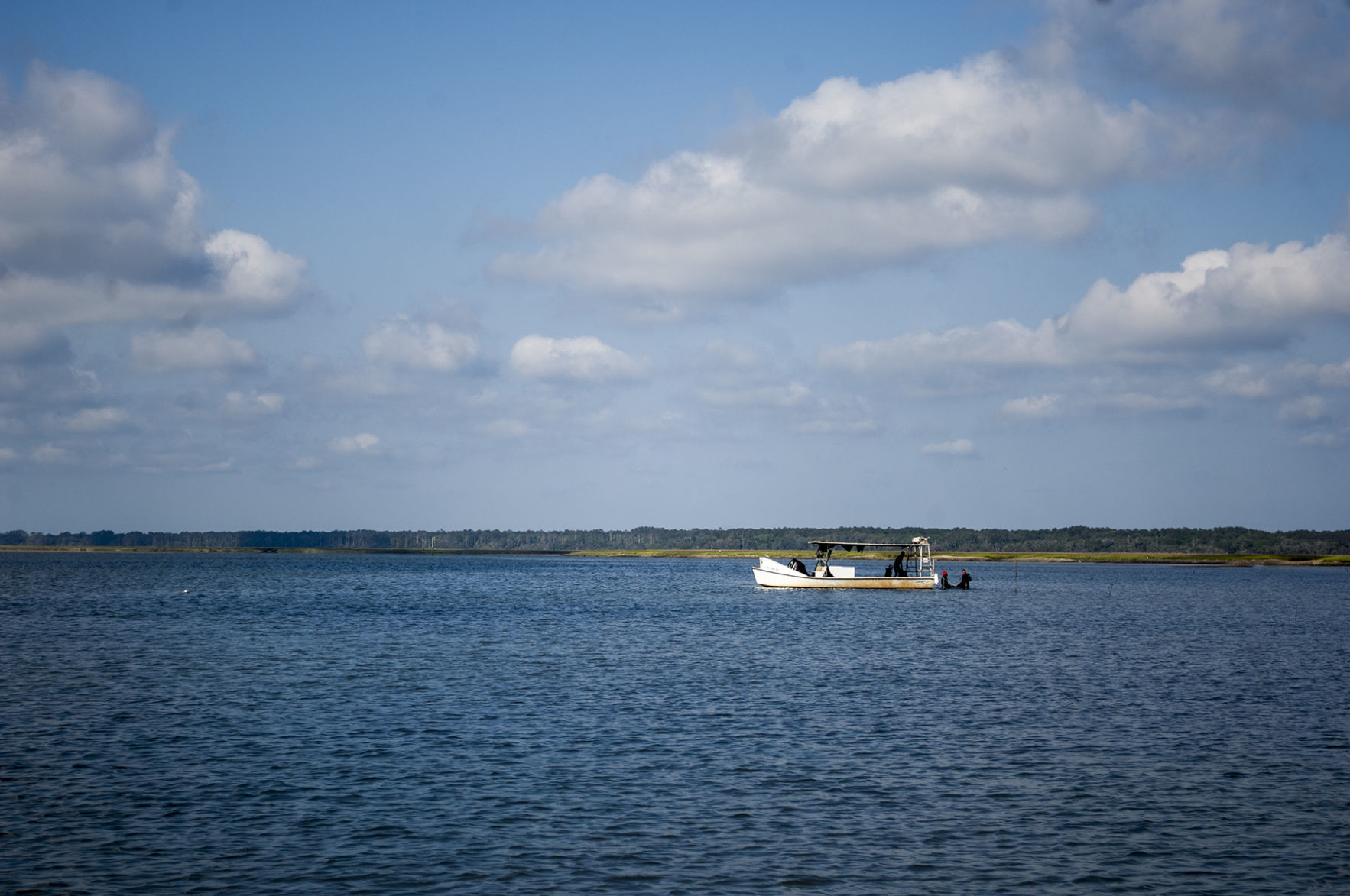 060918_Oysters02.jpg